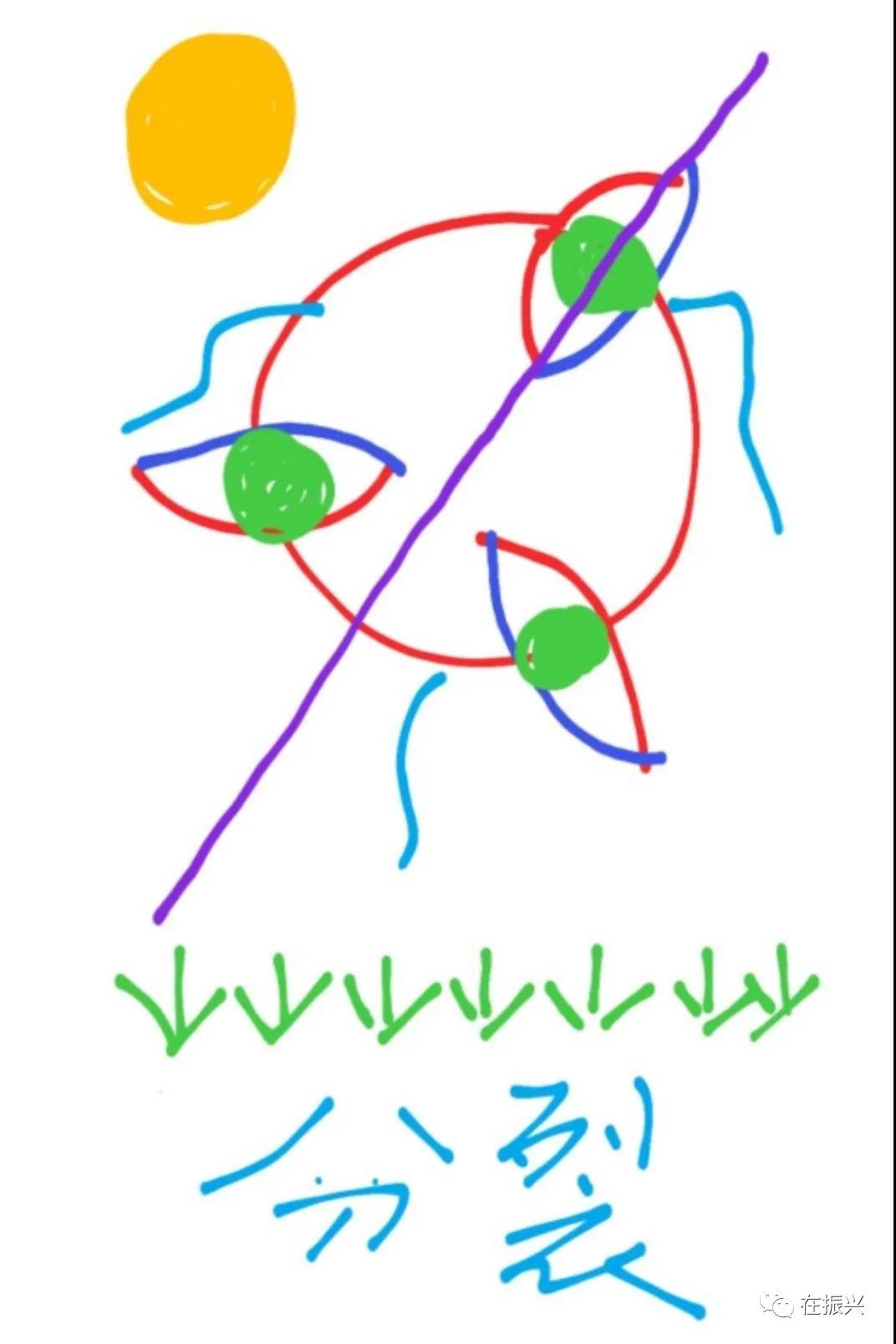 1583312308973766.jpg